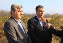 مهندس محمد اسلامی