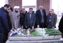 میرزاکوچک جنگلی