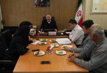 علی رضا کامران راد