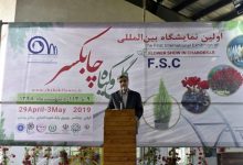 گیاه