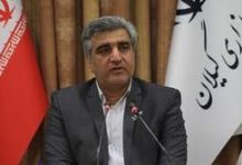 جشنواره چای