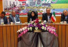 توسعه مدیریت