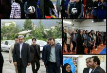 والیبال نونهال
