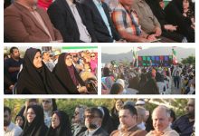 جشنواره نیلوفر آبی