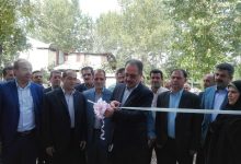 کارگاه تولیدی سبد میوه