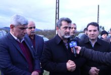 سرمایه‌گذاران