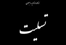 پروفسور اکبرزاده
