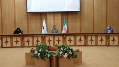 همبستگی اجتماعی