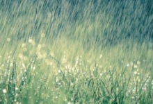 بارش 38میلی متری