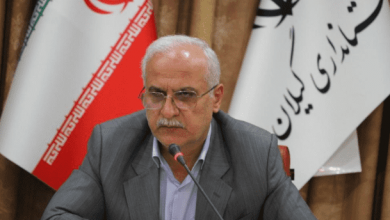 شوراهای استان