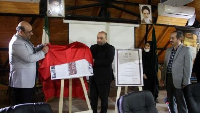 جنگلهای هیرکانی