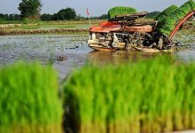 اراضی کشاورزی