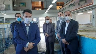 شیلات گیلان