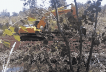 اراضی حرایم دولتی