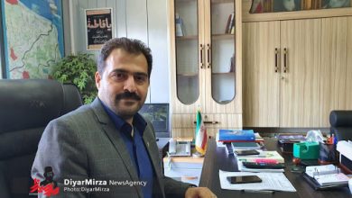 نیلوفر سحرخیز لاهیجان