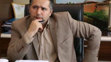 نگهداری سگها