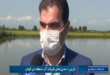 افزایش تولید برنج