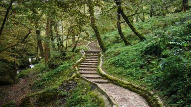 گروه گردشگری