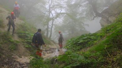 سها رضانژاد