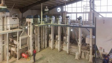 انتشار کرونا