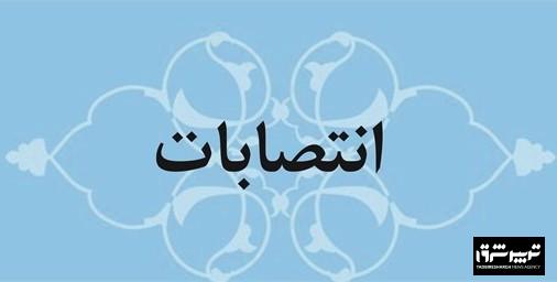 شهرداری