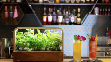 باغچه هوشمند