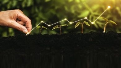 امنیت سرمایه گذاری