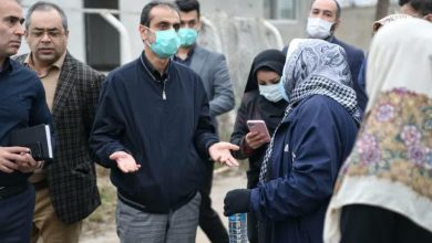 پارک های سطح شهر