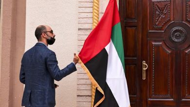 صدور روادید