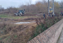 رودخانه البرز