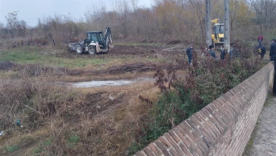 رودخانه البرز