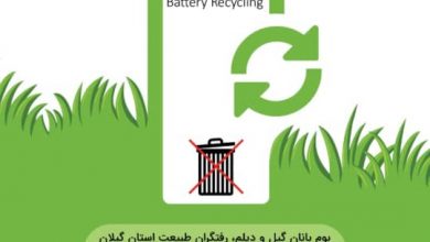 بازیافت