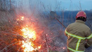 اراضی جنگلی و شهری