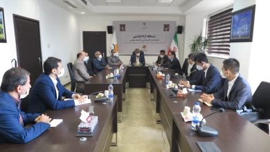 سرمایه گذاران چینی