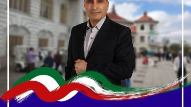 تیمداری شهرداری ها