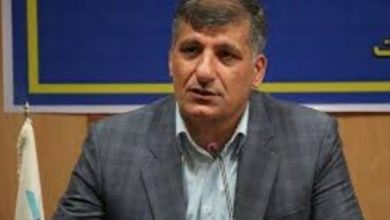 طرحهای هادی