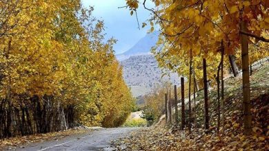 پاییز