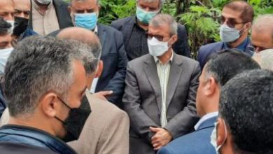 خدمات رفاهی