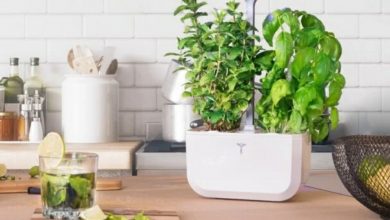 باغچه هوشمند