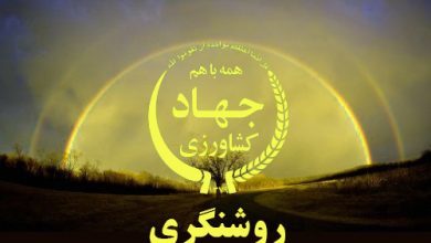 كالاهاي اساسی