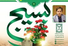 هفته بسیج