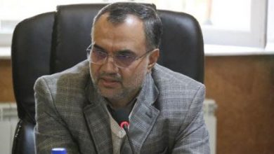 زمینهای نسقی