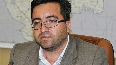 مالکیت تک برگ