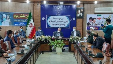 بومی گزینی