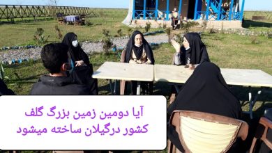 گلف