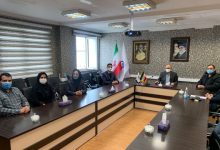 پیمانکاران