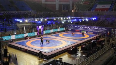 جام بینالمللی کشتی