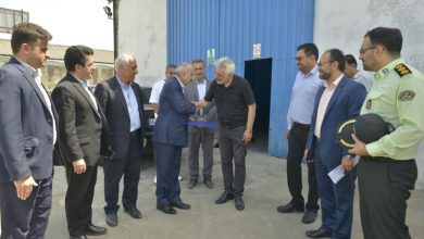 صادرات