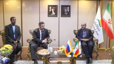 منطقه آزاد انزلی