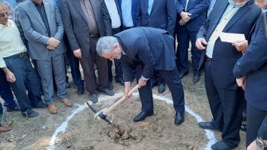 تامین اجتماعی